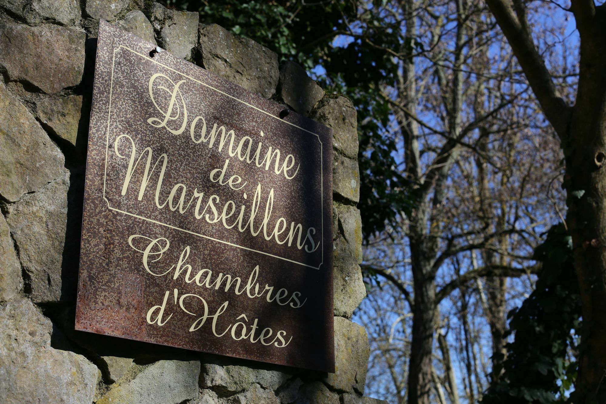 לינה וארוחת בוקר Palaja Domaine De Marseillens מראה חיצוני תמונה